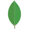 Mongodb Mongodb